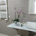 Casa Oliva 52 *